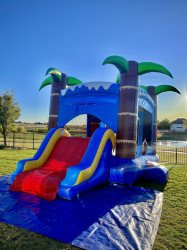 🦈 #25 Baby Shark Bounce House Slide Combo (Dry)