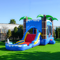 🦈 #25 Baby Shark Bounce House Slide Combo (Dry)
