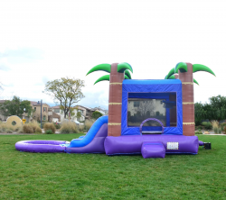 HKC 🌳 #26 Enchanted Forest Bounce House Dual Slide W/Pool (Wet)