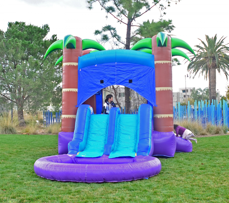 🌳 #26 Enchanted Forest Bounce House Dual Slide W/Pool (Wet)