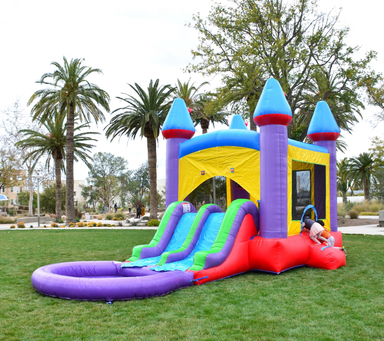 🍬 #28 Jelly Bean Castle Bounce House Dual Slide W/Pool (Wet)