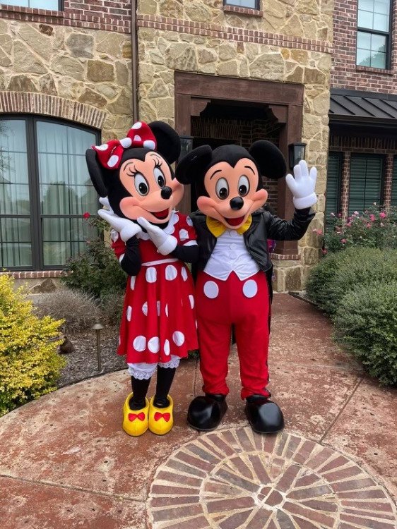 Mickey & Minnie Mouse Character Rental Jumpy Party Rentals DFW