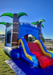 🦈 #25 Baby Shark Bounce House Slide Combo (Dry)