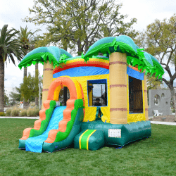 IMG 0647 1729693642 #13 Tropical Breeze Bounce House Slide (Dry)