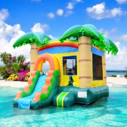 #13 Tropical Breeze Bounce House Slide (Dry)