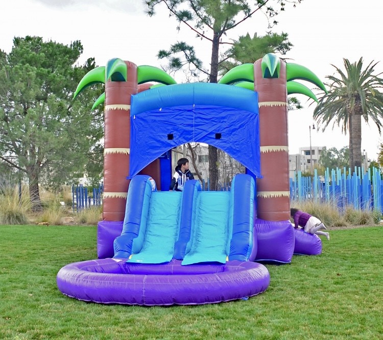 🌳 #26 Enchanted Forest Bounce House Dual Slide W/Pool (Wet)