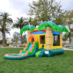 IMG 7649 1729725580 #13 Tropical Breeze Bounce House Slide W/Pool (Wet)