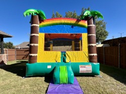 IMG 1256 1730837353 🦁 #19 Safari Party Bounce House