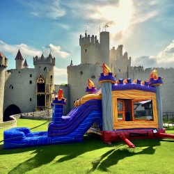 IMG 1276 1730903227 #37 *Brand New* Medieval XL Bounce House Slide (Dry/Wet)