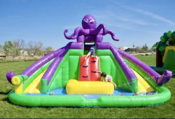 IMG 1286 1730904140 Junior Monster Octopus Waterpark W/Splash Pool