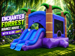 #26 Enchanted Forest Bounce House Dual Slide (Dry)
