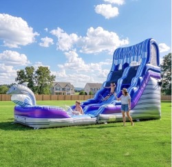 IMG 9326 1783487097 #40 🐬 NEW 🌟 Feel the Rush | Dolphin Splash Waterslide with Deep Splash Pool (Wet) 🥇