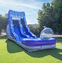 IMG 9327 1783487097 #40 🐬 NEW 🌟 Feel the Rush | Dolphin Splash Waterslide with Deep Splash Pool (Wet) 🥇