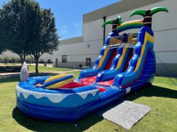 IMG 9456 1783518049 #32 🦈 Kids’ Favorite | Shark Splash Waterslide with Pool (Wet) 🥇⭐